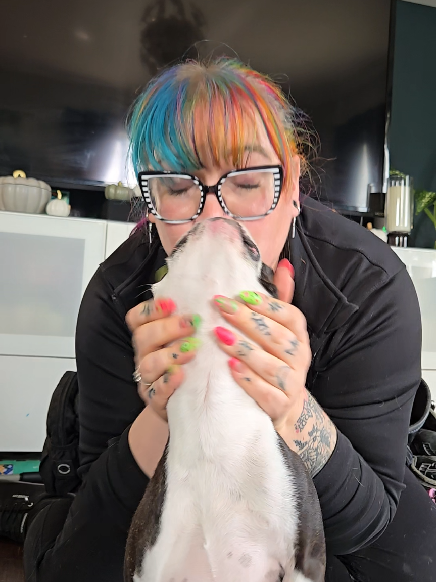 #fyp #doggroomer #dogtrainer #vettech #bostonterrier 