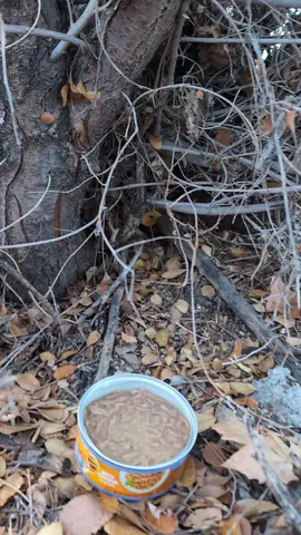 this was Saturday morning right after Thanksgiving a day for being thankful for what you have. the two kitties were pulled off the street Friday but after finding out there was another kitty dumped in the same spot as the other two I went back a couple times trying to find her.  7 am as the sun was coming up I went back out to find her again, I meowed while opening a can of wet food and when I found where the cries were coming from I went to work to get her. this is the moment I found her and got her to safety. she's just a baby no more than 8 weeks old. Mom is still nursing her and she was dumped out with her family. no other babies were found I've gone out several times to check.  stop dumping your animals...... 