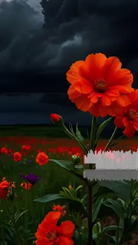 سأشكو الحزن يا أمواج إني......🥺🥹 #اناشيد_اسلاميه #fyp #ib_r1425 #تصميم_فيديوهات🎶🎤🎬 #ستوريات 