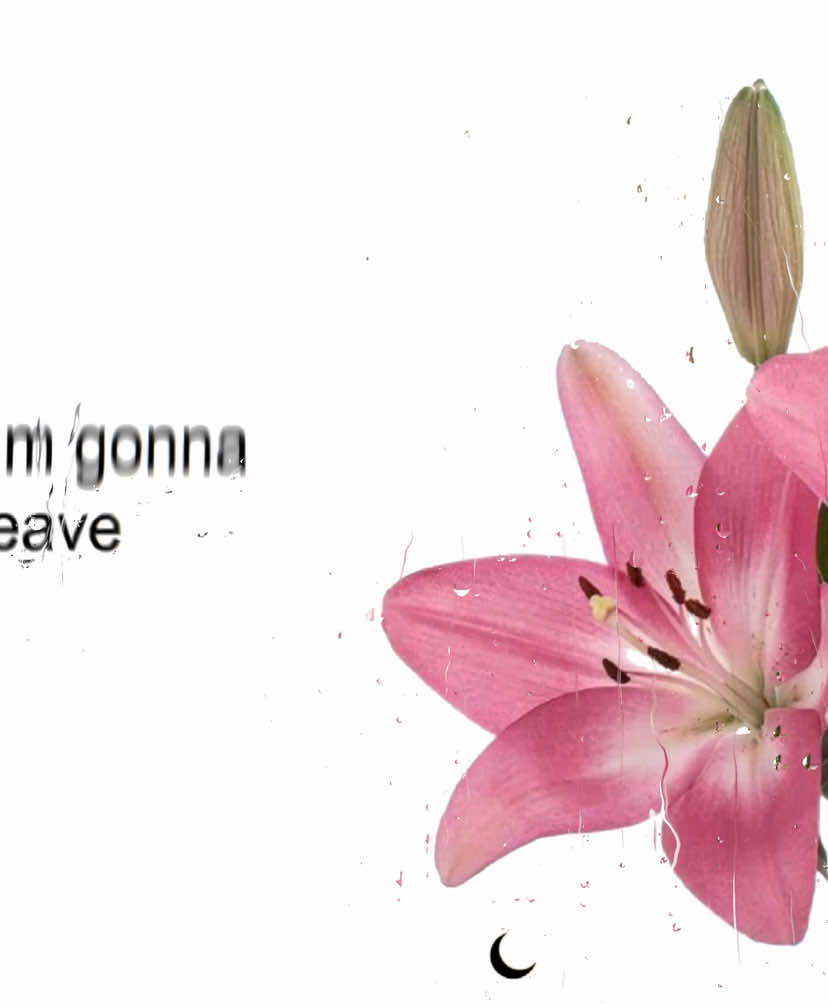 takeaway>> #aesthetic #songs #lyrics #musicvibes #fyp 