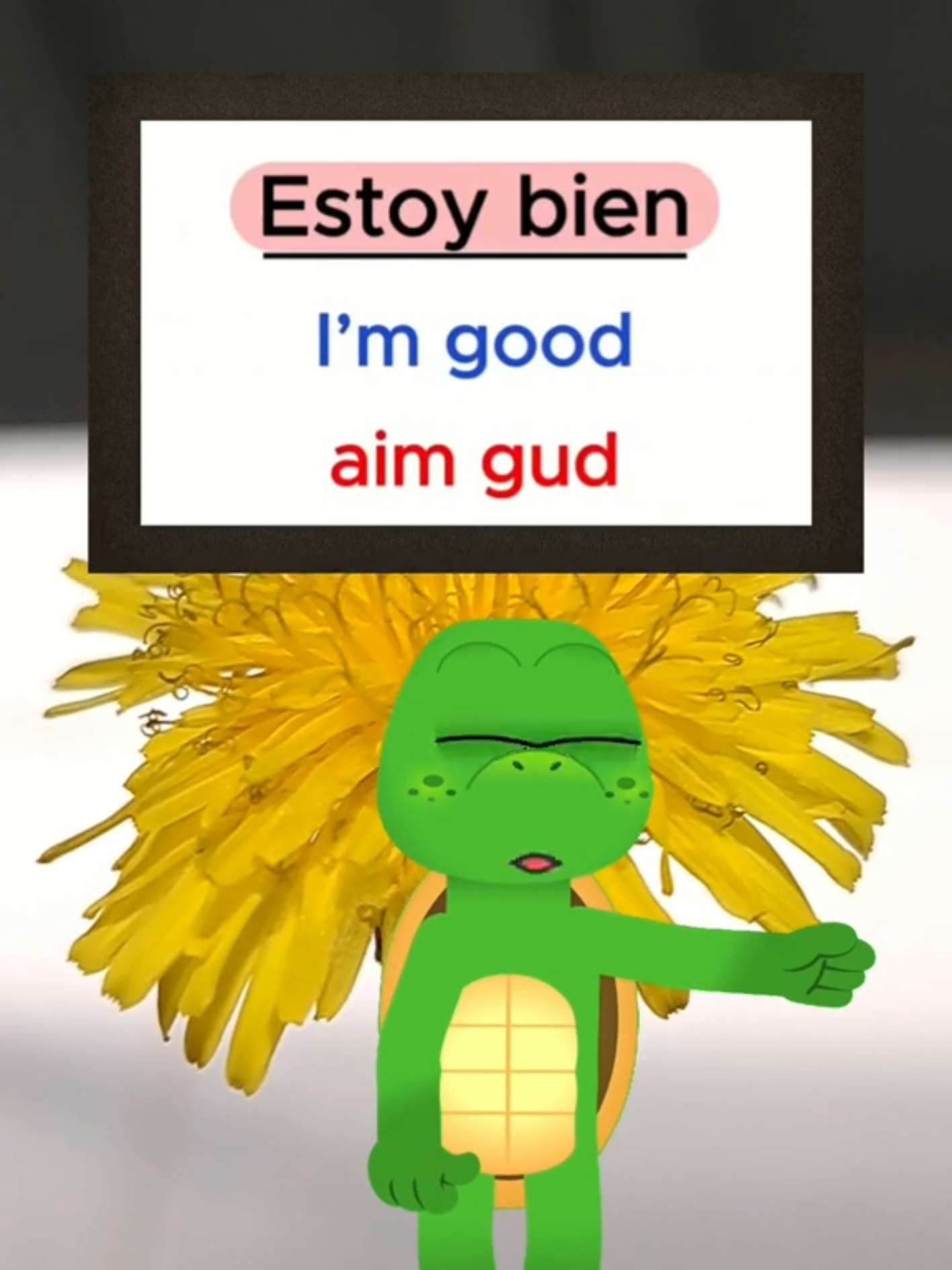 Aprende inglés rápido y fácil palabras que tienes que aprender para vivir en los estados unidos #ingles #online #aprender  #theteacherturtle 