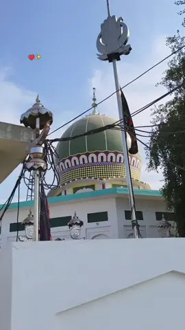 #creatersearchingsight #foryou #punjabisong #trending #2025 @TikTok @سید نقی شاہ @Syed Muraad Shah  Bukhari @BUKHARI-512🥷🏻🦅 @BUKHARI-512🥷🏻🦅 @BUKHARI-512🥷🏻🦅 