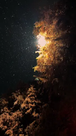 Tuyết đầu mùa tại gwangju#duhocsinhhanquoc #gwangju #월곡시장 