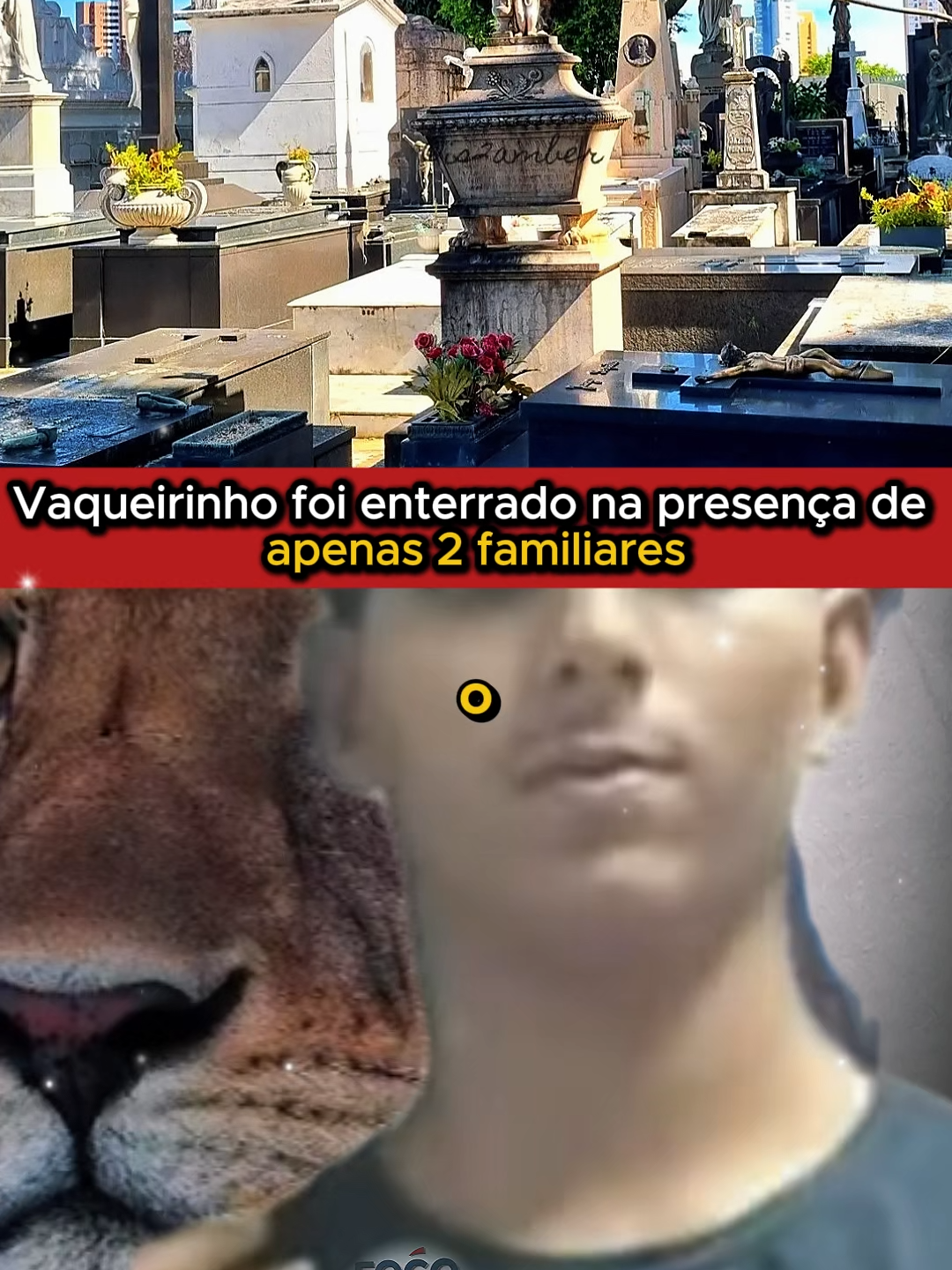 Homem Invade Jaula De Leoa Em João Pessoa | vaqueirinho joão pessoa | homem leao joao pessoa video completo #vaqueirinho#leoa#joaopessoa