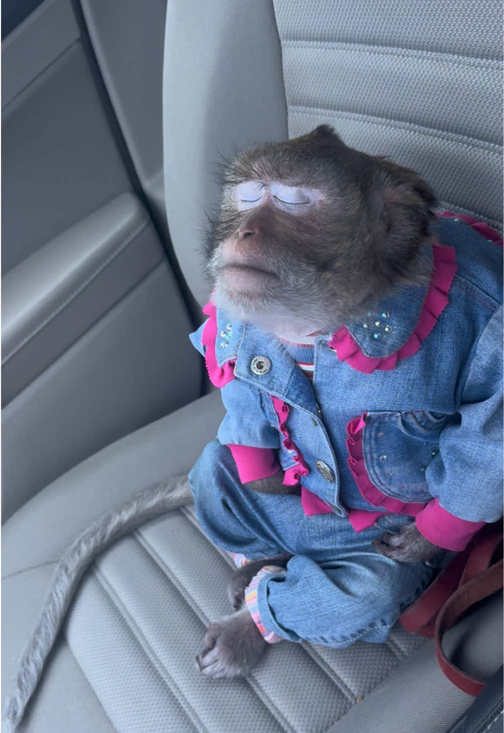 Едем домой с гастролей 