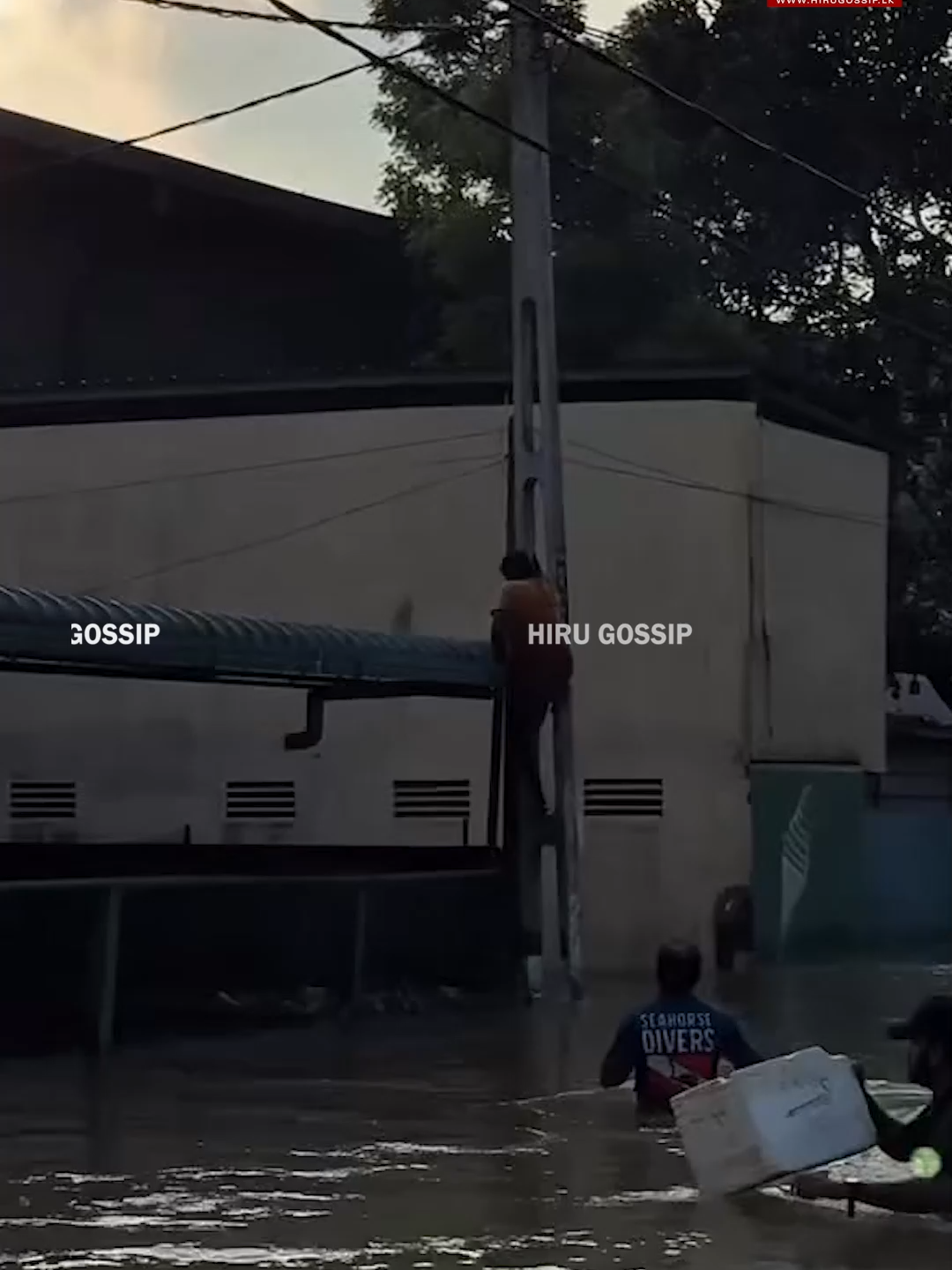 රත්තරං හදවත් ඇති මිනිස්සු උතුරන්න හරියන්න ඔනේ...  #HiruGossip #HiruTV #Hiru #hirudigital#whattowatch #tiktokentatainment