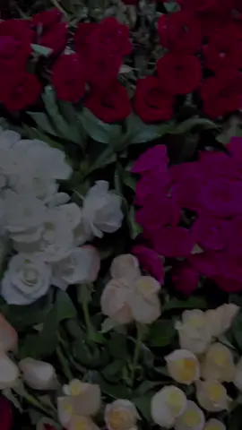 #CapCut #مساءالعسل_يا_اغلا_متابعين❤️ #الكويت #العراق_السعوديه_الاردن_الخليج #تونس_المغرب_الجزائر_ليبيا_ 