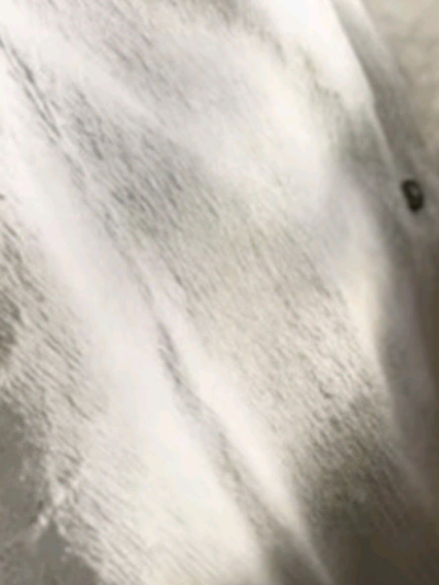 #سيد_فاقد_الموسوي #قصيده #لايك #متابعه #اكسبلور 