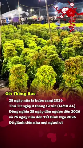 Để giành tiền nha mọi người ơi #tet #tetbinhngo #2026 #xuhuong #viral 