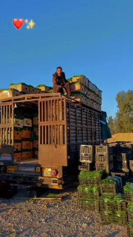 #مزيرعة💪🔥😎 #بسكرة❤️🌴 #العثمانية__ميلة_قسنطينة🖤 #بريكة😍_باتنة🤩_مسيلة😘_بلعايبة❤️جزائر #ميلة_شلغوم_العيد_تاجنانت_فرجيوة_ 