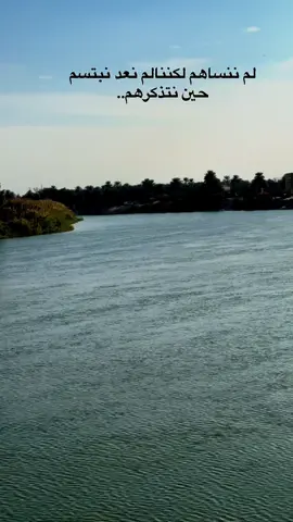 #العبارات_عليكم🙂🖤🖇  #عبارات #شعر  #شعروقصايد  #شعراء_وذواقين_الشعر_الشعبي 