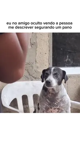 desse jeito #natal2025 #fyp @MANCHAS 0714 OFICIAL 