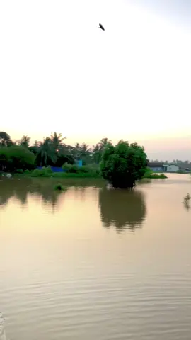 @𝗠𝗛𝗗_℘𝗔𝗬𝗔N̑̈_ Mutur#