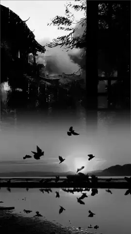 Şahidi Allah olanın hakkı kimsede kalmaz...🍂📌#anlamlıvideolar #duygusalvideolar #rmzn 