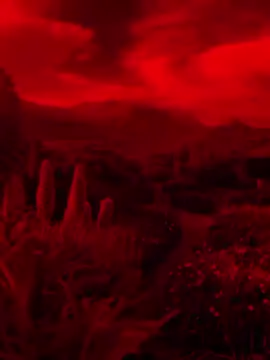 ‏ينام الجرح هادئا، يلتهب كلما لامسته الذاكرة بكلمة. #تصميم_فيديوهات🎶🎤🎬 #عبارات #باسم_الكربلائي #foryourpage 