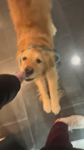 La nostra vita, due disperate 