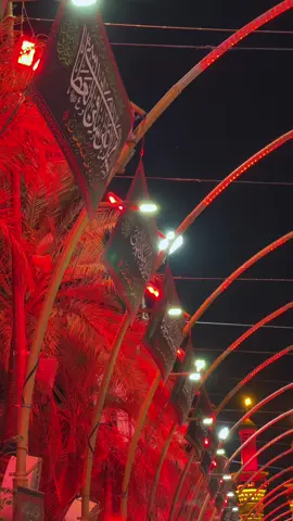 #ياامالبنين_دخيلج_فرحي_كلب_كل_مهموم  #السلام_عليك_يا_ابا_الفضل_العباس  #viralvideos #please #tik_tok 