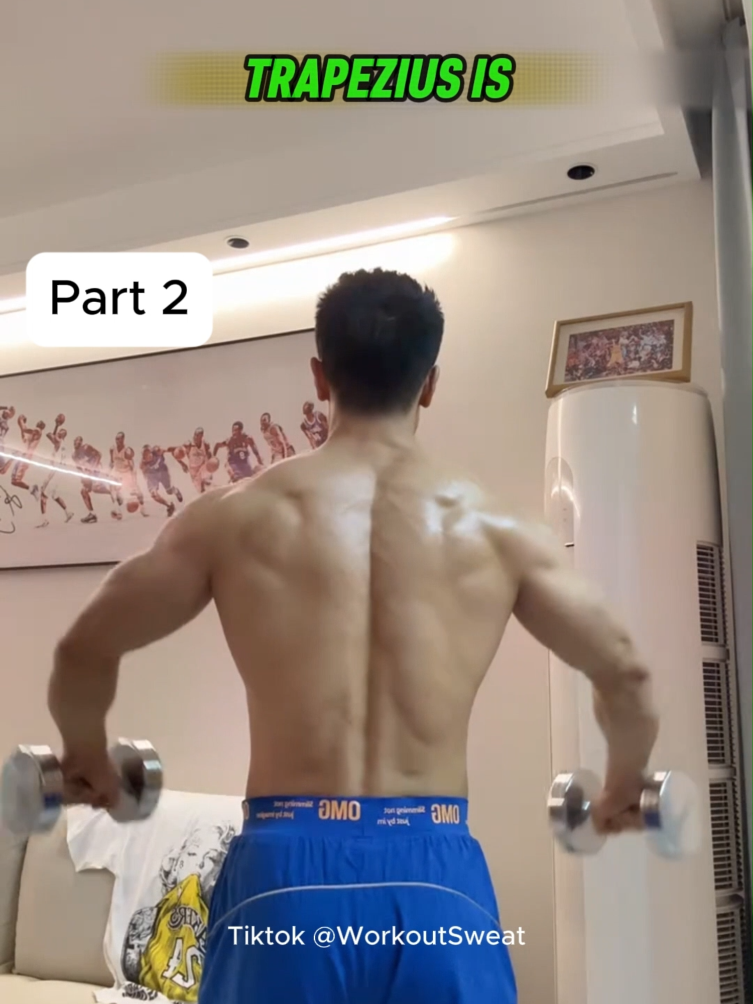 Part 2. Fullbody workout plan for whole week, smith shoulder press, best hammer curls for arms, are hammer curls good, dumbbell hammer curls, forearm size, how to grow forearms, bicep pump, chest and biceps, bicep heads, squat plugs, get low in your squats, deep squat, sump squats, leg and quads workouts. Quad focused leg workout for men, leg pain after workout, core and leg workout, leg drops workout, leg workout at home,#workoutsweat #shoulders #chest #back #arms #biceps #triceps #shouldersworkout #broadshoulders #wideshoulders #quads