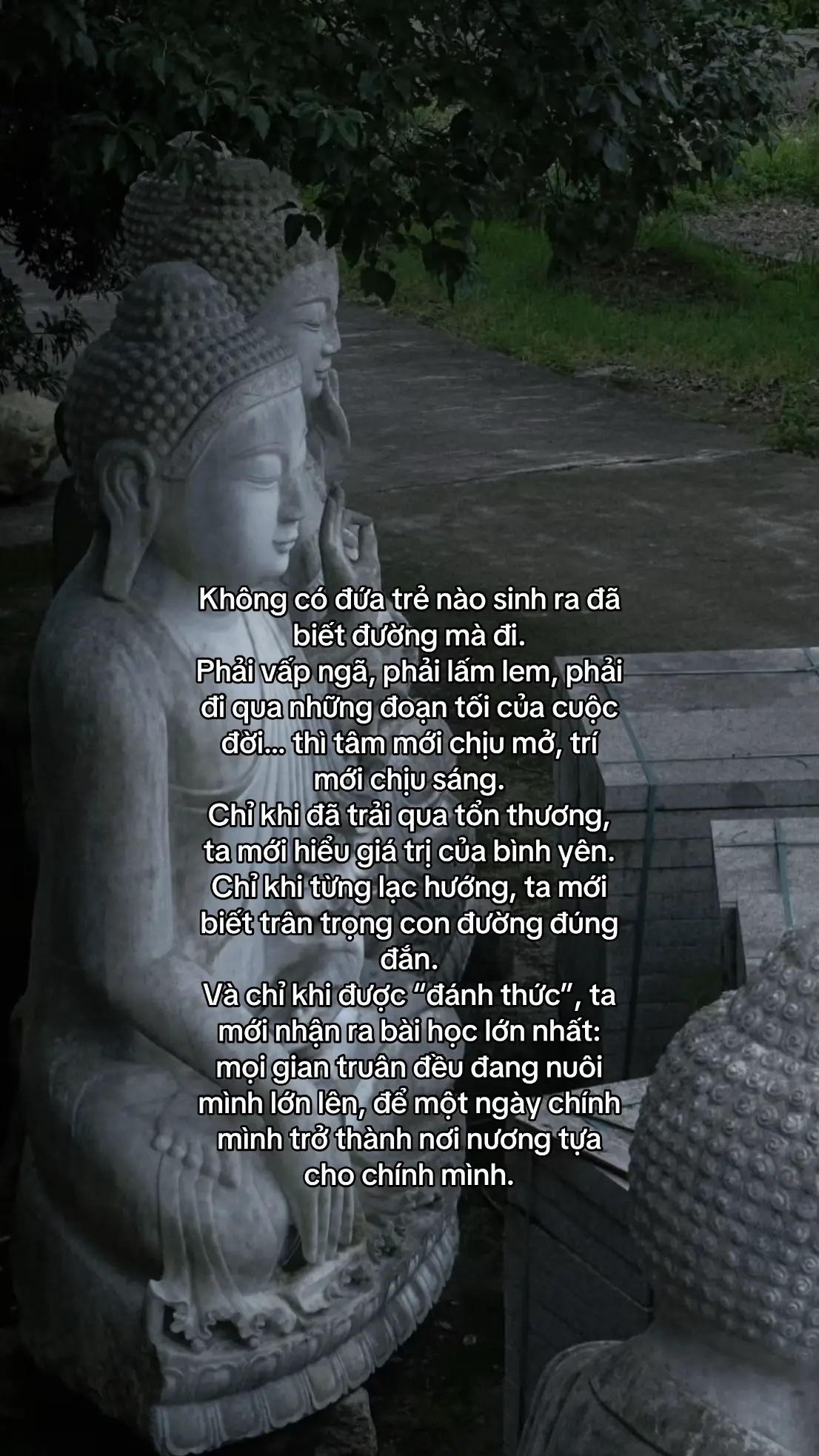 #phatphapnhiemmau #phattaitam #phatday 