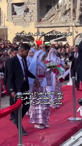 افراح غزة تقهر العالم من جديد ⁨	رغم الألم والجراح والفقد  العرس  الجماعي ثوب فرح يتنزع لحظات فرح وأمل من أنياب الاحتلال والدمار ويلعن ان الشعب الفلسطيني يتطلع للحرية والاستقلال والمضي نحو الاعمار واعادة بناء الانسان . #غزة #غزة_الان #الفارس_الشهم3 #gaza #creatorsearchinsights 