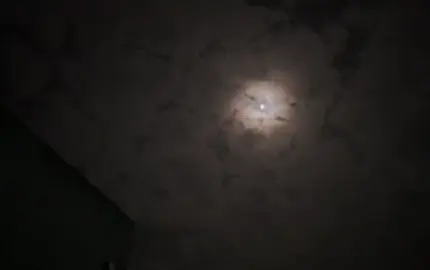 ليه لا ونتي بحِسنك لذوات الحسن ايه❣️ #بندر_بن_عوير #اكسبلورexplore 