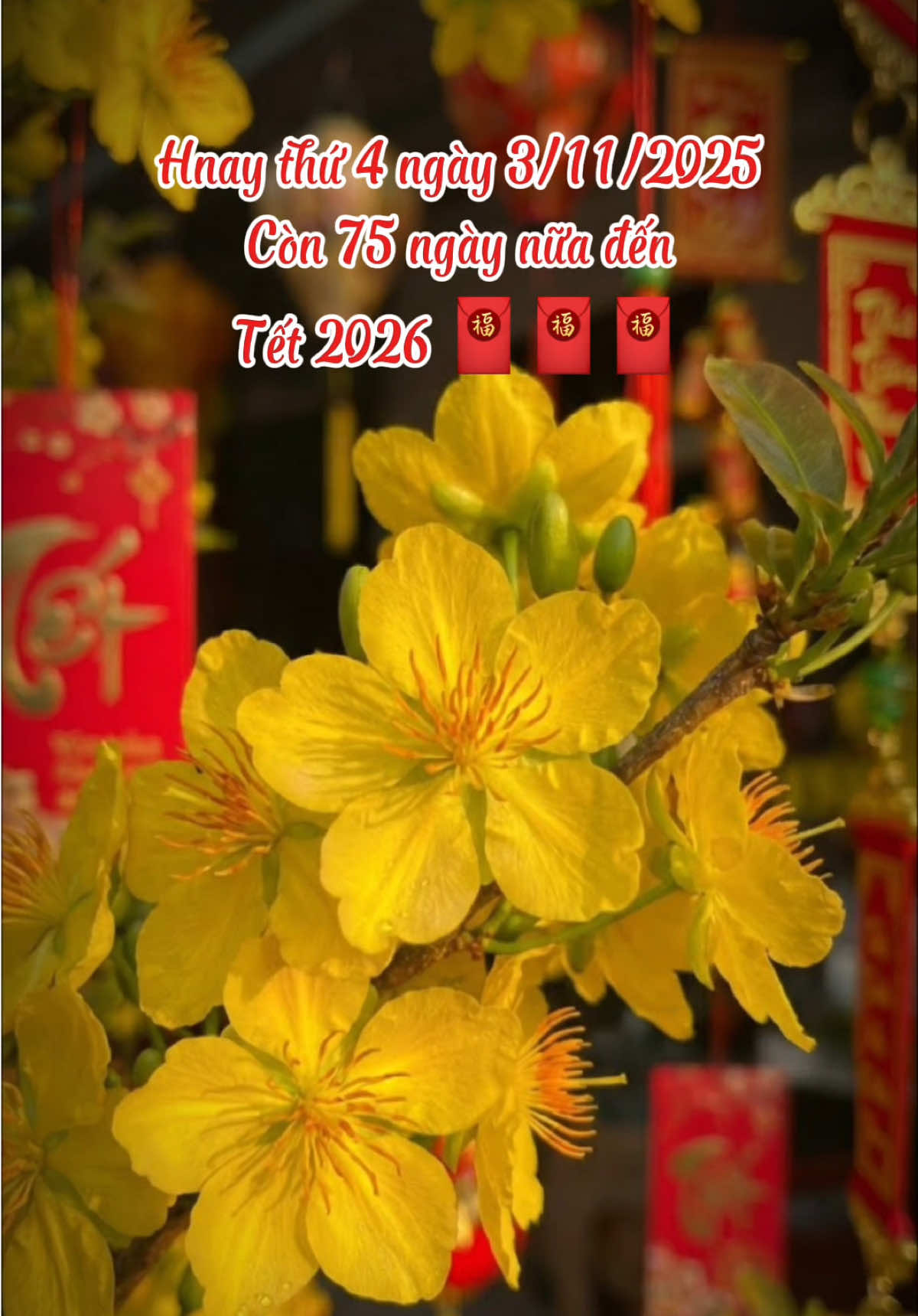 Tết đến nhanh quá mn mua đồ Tết hết chưa..! #tet2026 #nhacxuan #capcut #capcutpioneer #pioneertemplate 