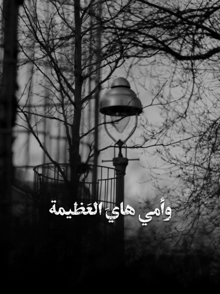 يا نور البگَلبـي وبدربـي #باسم_الكربلائي #هارب 