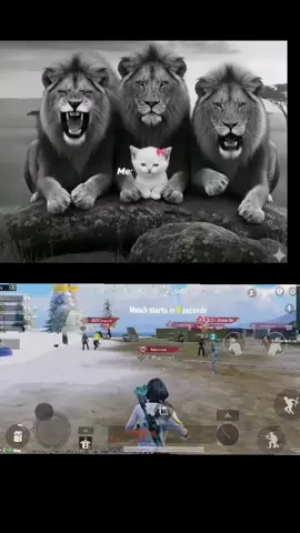 #pubgfriend 🔥❤️‍🩹🙌#pubgtiktok #pubgmobile #CapCut #fyp 