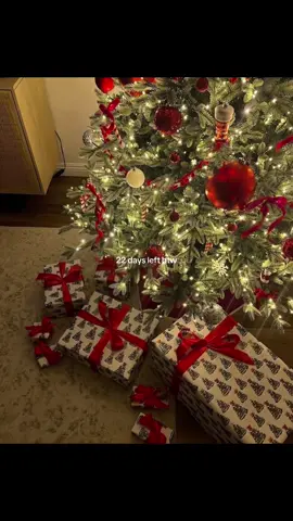 22 days until christmas! 🎄 #christmas #christmas2025 #xmas #fyp #winter 