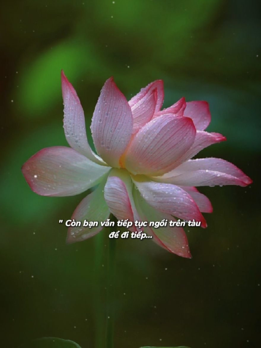 Nếu cuộc đời là một chuyến tàu #suymotdoii #chualanhtamhon #podcast #buon #viral 