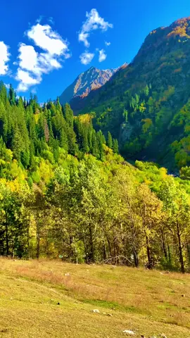 Kumrat valley 🏞️✈️💯#haqnawazkumratvalley🥀🖤 #foryoupage🦅 #viraltiktokvideo #💦陈锡文_kumratvalley💦 #haqnawazkumratvalley🤭 