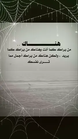 #creatorsearchinsights  #حرف_من_قلب 