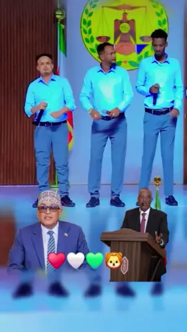 dad goba🦁♥️🤍💚🫡#fyp#foryou #viral_video #somalilandtiktok💚🤍❤ #