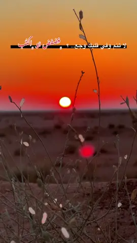 هاي تالي المحنه 💔😞#تصويري_احترافي_الاجواء👌🏻🕊😴 #fyppppppppppppppppppppppp #مجرد________ذووووووق🎶🎵💞 #fyp #تصويري 