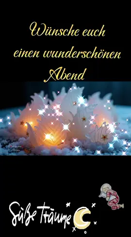 Wünsche euch einen wunderschönen Abend #likе #fürdich #fyp #viral #fallow @👑schlagerprinzessin👑 @Show-Welt.com 