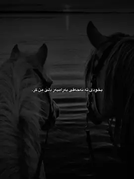 🤩#falsel0ve #dhuke_zaxo_akre_arbil_iraq 