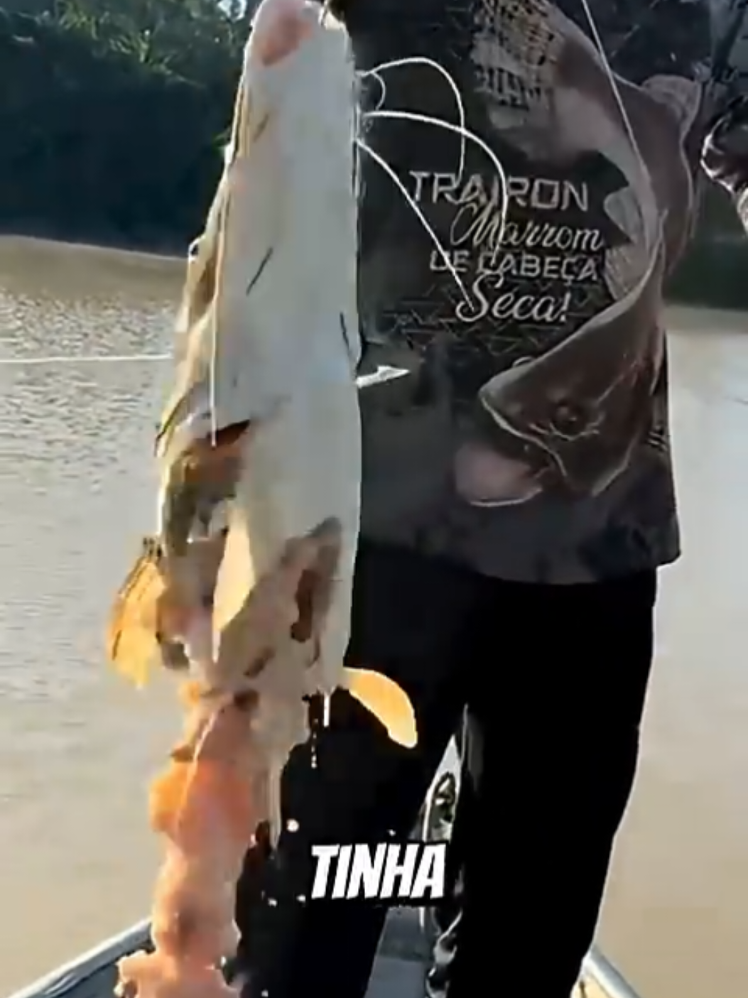 Só o osso #peixe #pescador #pescaria #pesca #amazonas 