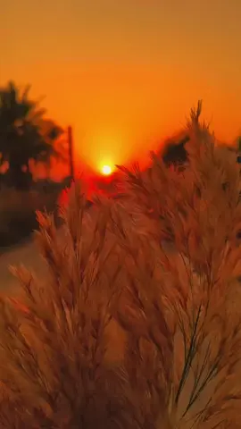 #تصويري #تصويري_احترافي_الاجواء👌🏻🕊😴 #تصميم_فيديوهات🎶🎤🎬 #viral #fyp 