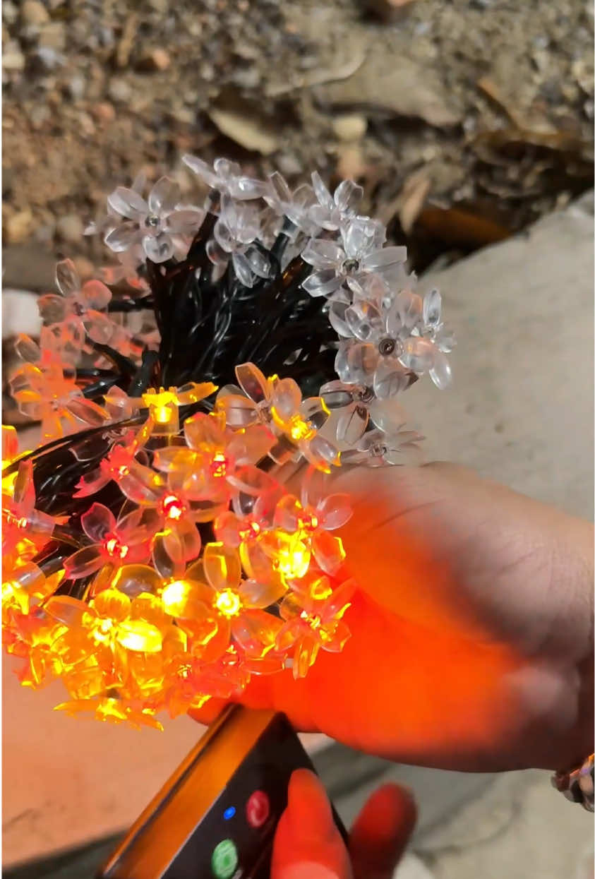 Đèn nháy led năng lượng mặt trời #giadungthanhmai 