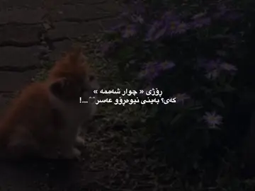 #fyp #foryou #foryoupage 