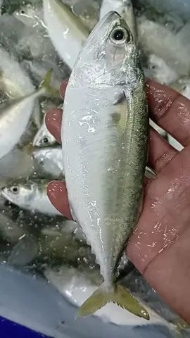 tangsi lemakkkk.. #fyppppppppppppppppppppppp 