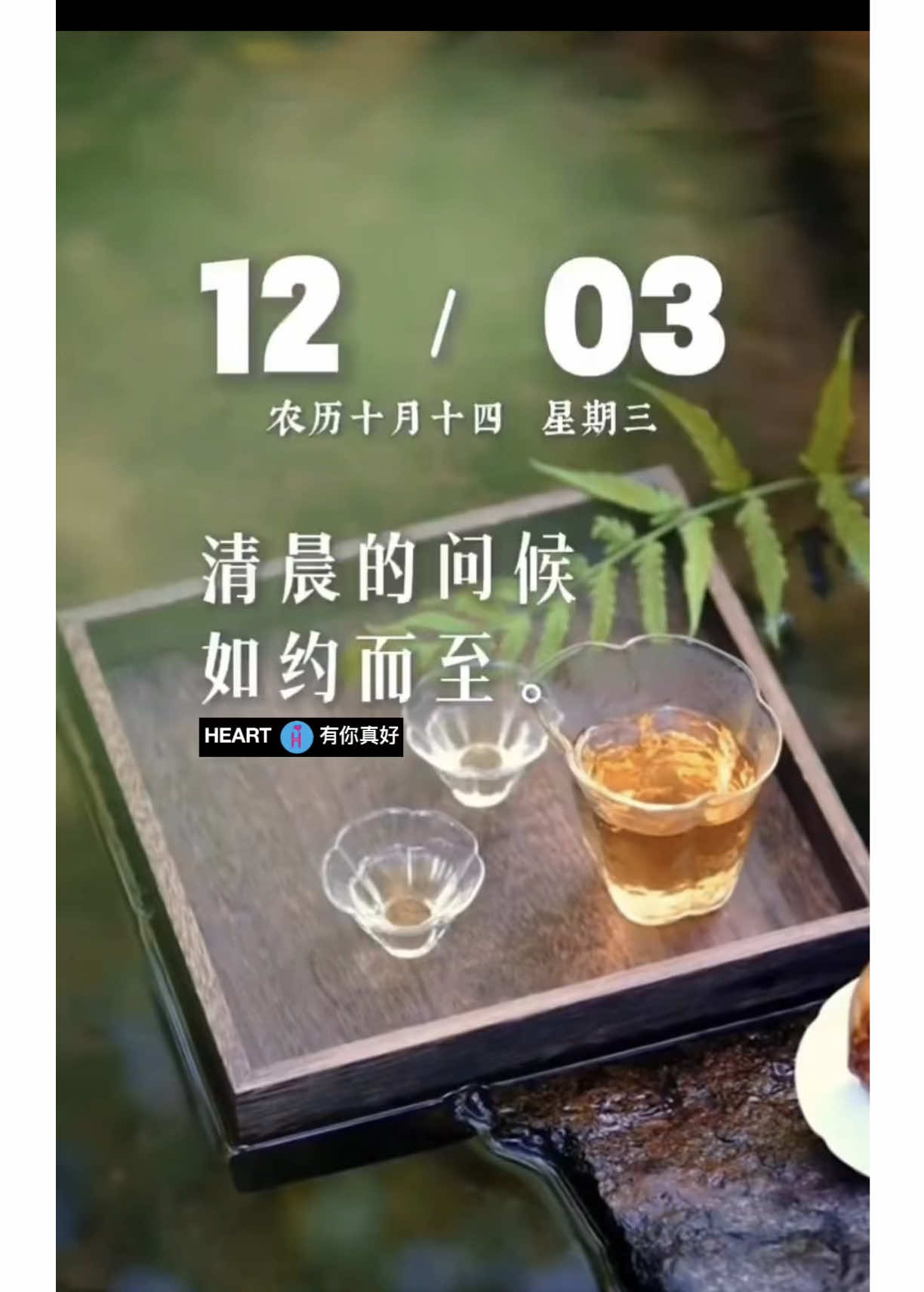 朋友！早安你好！ 早安心語：清晨的問候如約而至。 今天是12月3日，星期三，早安！清晨的第一縷陽光，伴著問候如約而至。世間最珍貴的從不是堆積的財富，而是安穩的平安、無虞的健康，是藏在時光里的關心、從未缺席的惦記，還有穿越四季始終溫暖的牽掛。新的一天，願你順利...加油！#好運會伴隨你的每一天＃早安心語 @早安心語有你真好 「愉快的早晨 不变的祝福」 愿您: 精神好，心情好 运气好，身体好 一切都美好。  #早安心語有你真好❤️‍🩹 #HEART有你真好❤️