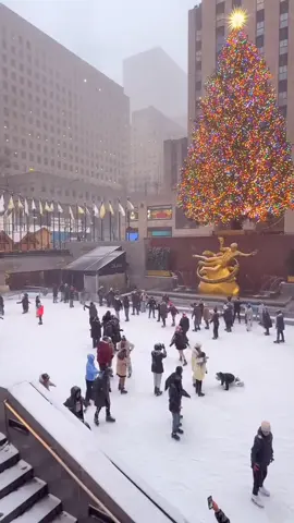 #tiktokholidaycontest #usa🇺🇸 ##newyork #viralvideo #