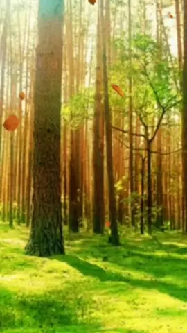 #assalamualaikum #selamatpagi #doaharianku #doapagihari #doauntuksemua 