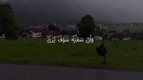 سبحان الله وبحمده ، سبحان الله العظيم 📻 | #قران #fyp #قران_كريم #اكسبلور 