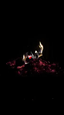 #fypシ #fyp #fypシ゚ 