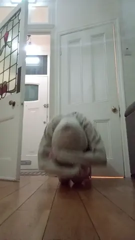 part 3 slower (no more please 😭) 