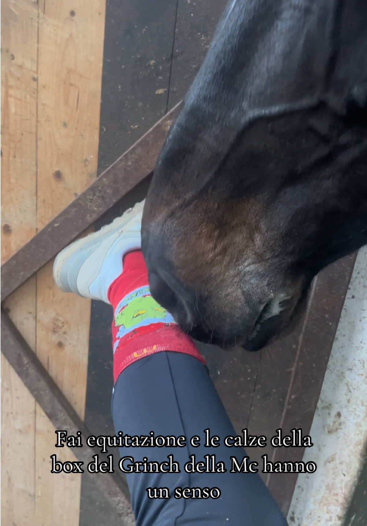 Con la partecipazione del mio nipote preferito 🖤🍔🎅🏻🥤🐴🍟💚 @Sara @McDonaldsItalia  #boxGrinch #mcdonald #cavallichepassione #sardegna #horse 