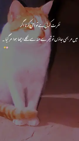 #ownrecord #foryoupage #tiktoklov #foryou #foryoupage 