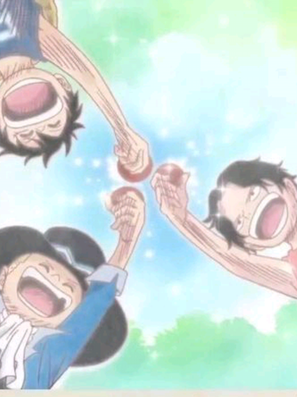 الأخوة❤️#sanji #zoro #ace #luffy #sabo 